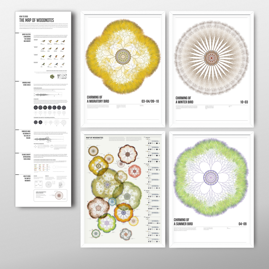 数之美—可视化线上科普展